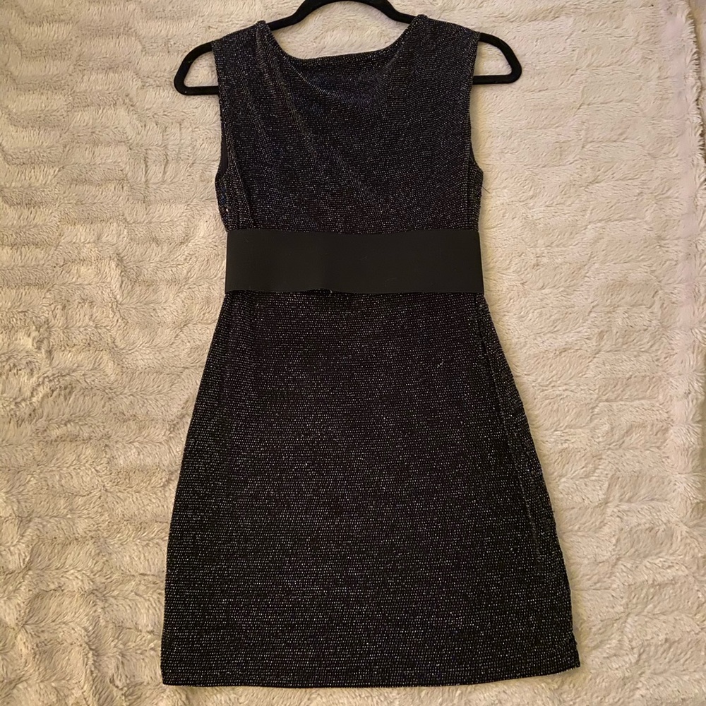 Express Dress - Picture 4 of 6
